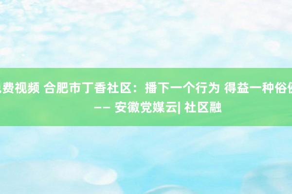 免费视频 合肥市丁香社区：播下一个行为 得益一种俗例        —— 安徽党媒云| 社区融