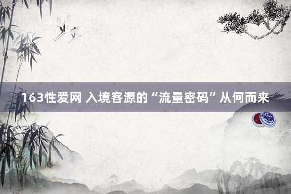 163性爱网 入境客源的“流量密码”从何而来