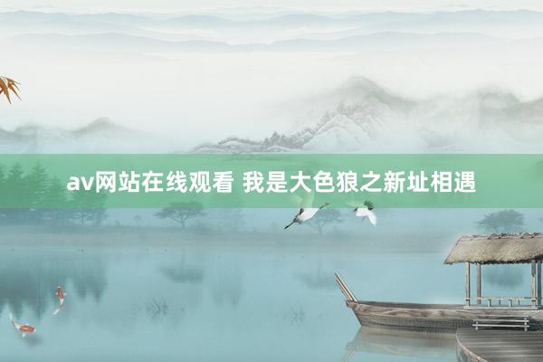 av网站在线观看 我是大色狼之新址相遇
