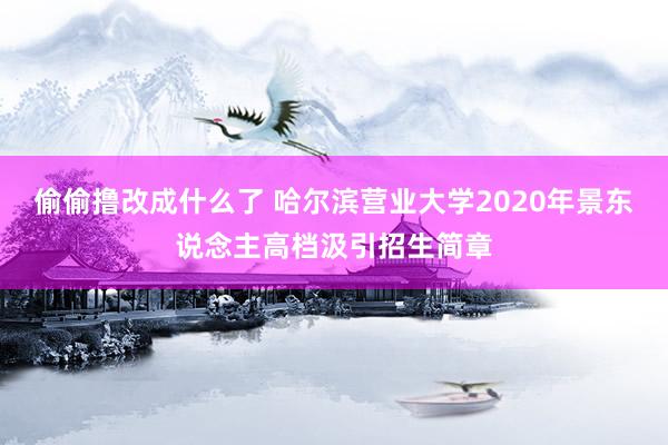 偷偷撸改成什么了 哈尔滨营业大学2020年景东说念主高档汲引招生简章