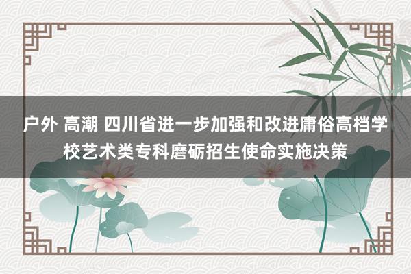 户外 高潮 四川省进一步加强和改进庸俗高档学校艺术类专科磨砺招生使命实施决策
