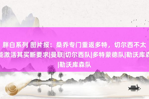 胖白系列 图片报：桑乔专门重返多特，切尔西不太可能激活其买断要求|曼联|切尔西队|多特蒙德队|勒沃库森队