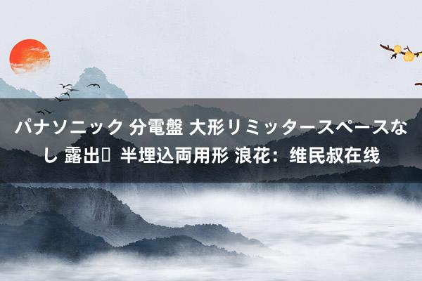 パナソニック 分電盤 大形リミッタースペースなし 露出・半埋込両用形 浪花：维民叔在线