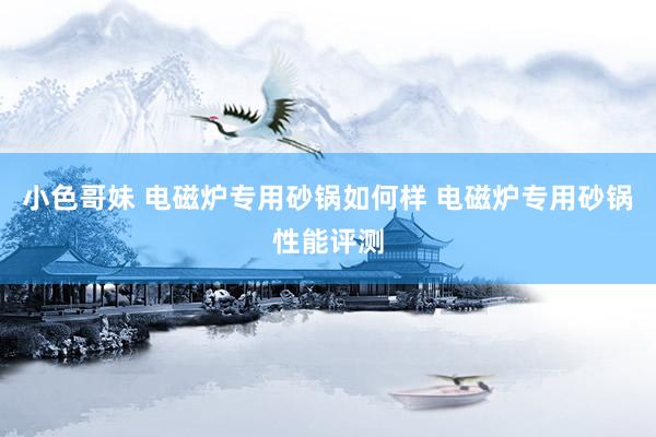 小色哥妹 电磁炉专用砂锅如何样 电磁炉专用砂锅性能评测