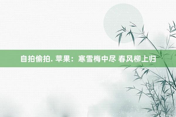 自拍偷拍. 苹果：寒雪梅中尽 春风柳上归