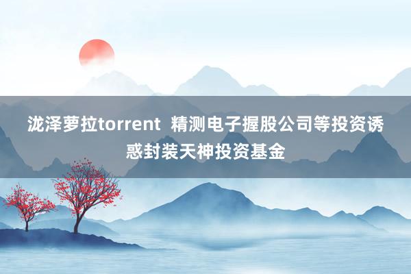 泷泽萝拉torrent  精测电子握股公司等投资诱惑封装天神投资基金