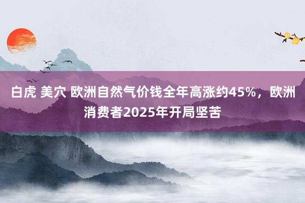 白虎 美穴 欧洲自然气价钱全年高涨约45%，欧洲消费者2025年开局坚苦